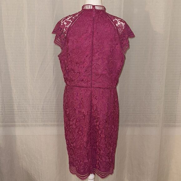 ModCloth 12 Pauline Pink Floral Lace Mock Neck Cap Sleeve Back Zip Shift Dress - Picture 2 of 16